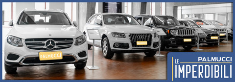 Dott. M.Palmucci Spa - Signa